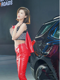chinese car  show model